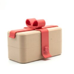 Surprise Gift Box with Ribbon Latch