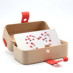 Surprise Gift Box with Ribbon Latch