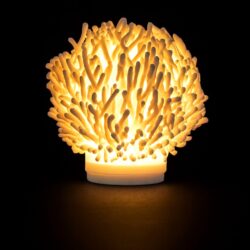 Marine Mood Lamp